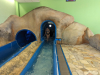 PXL_20230426_080501545.MP_