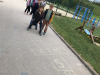 IMG-7201
