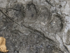 IMG-9256